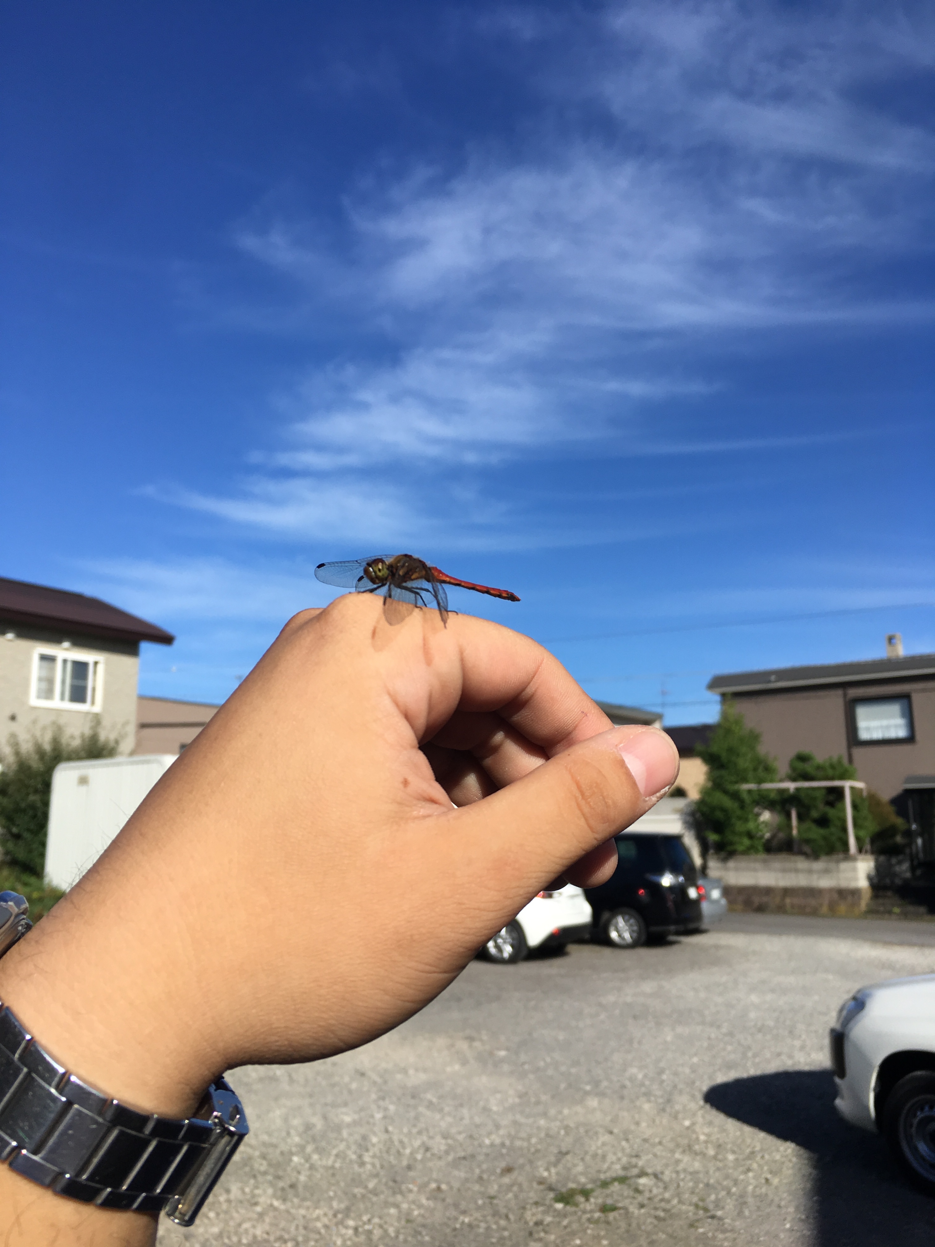 2018-09-18 15.11.59.jpg