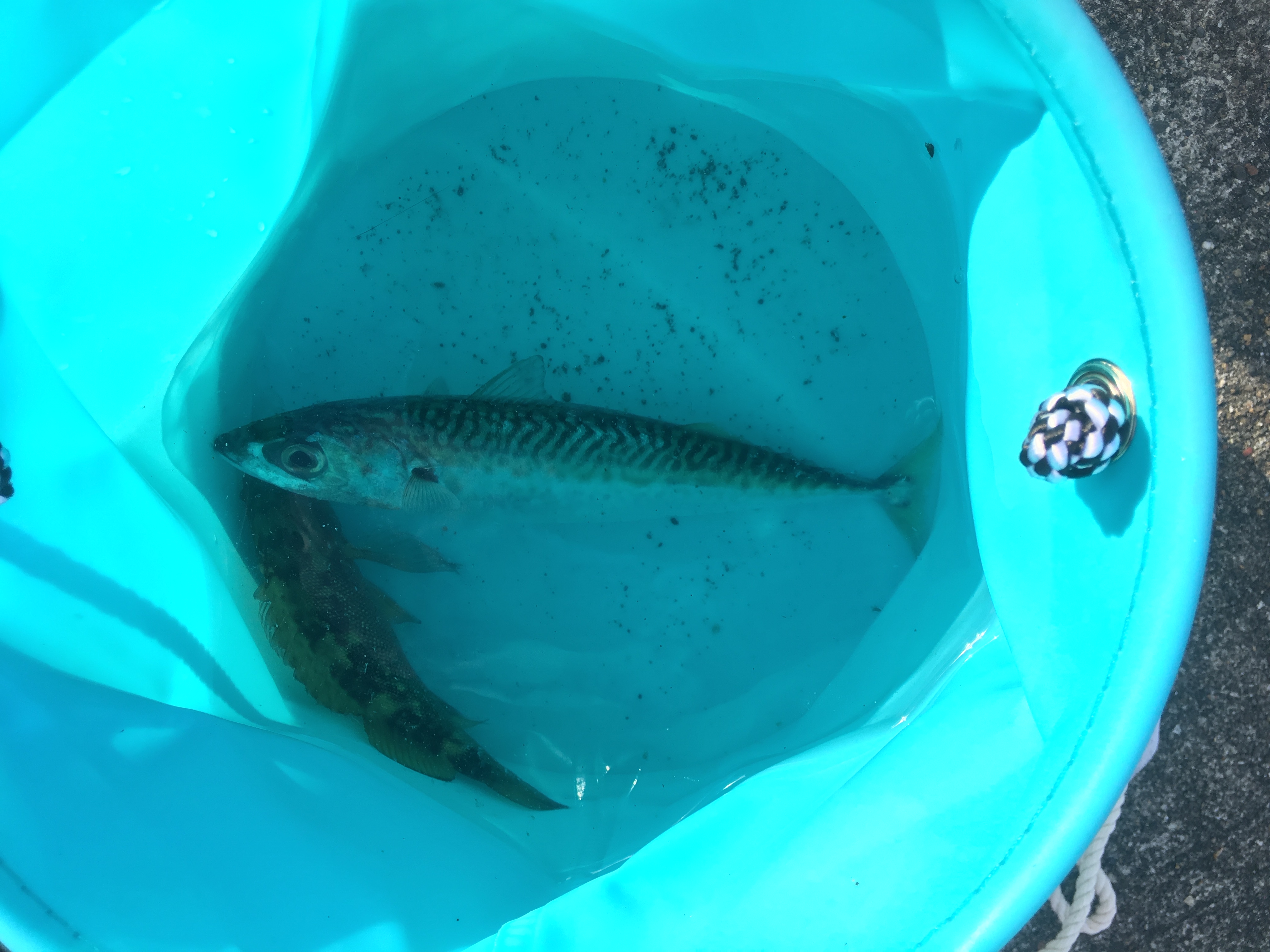 2018-10-14 14.20.28 HDR.jpg