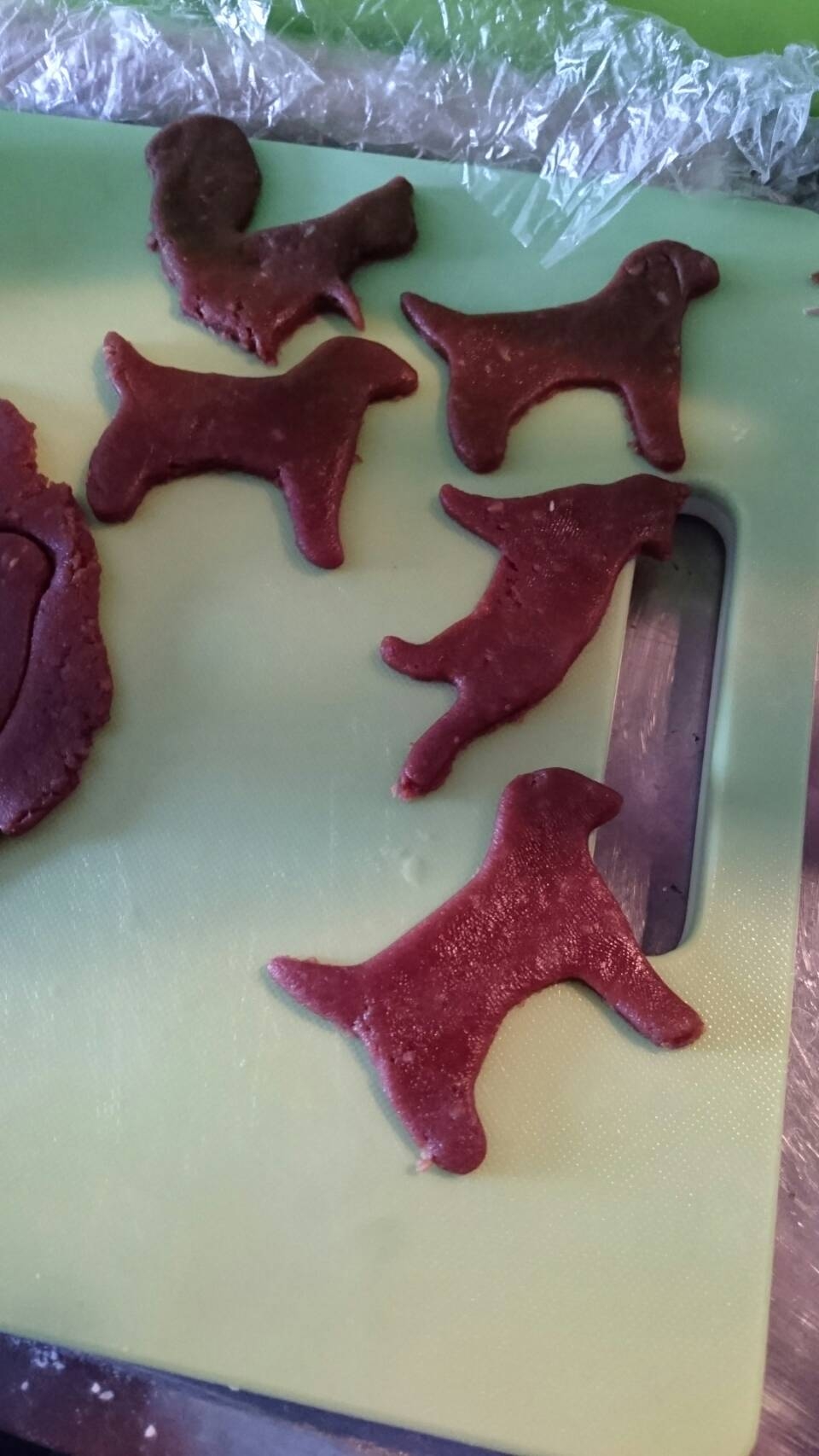 2018-02-13 10.56.44.jpg