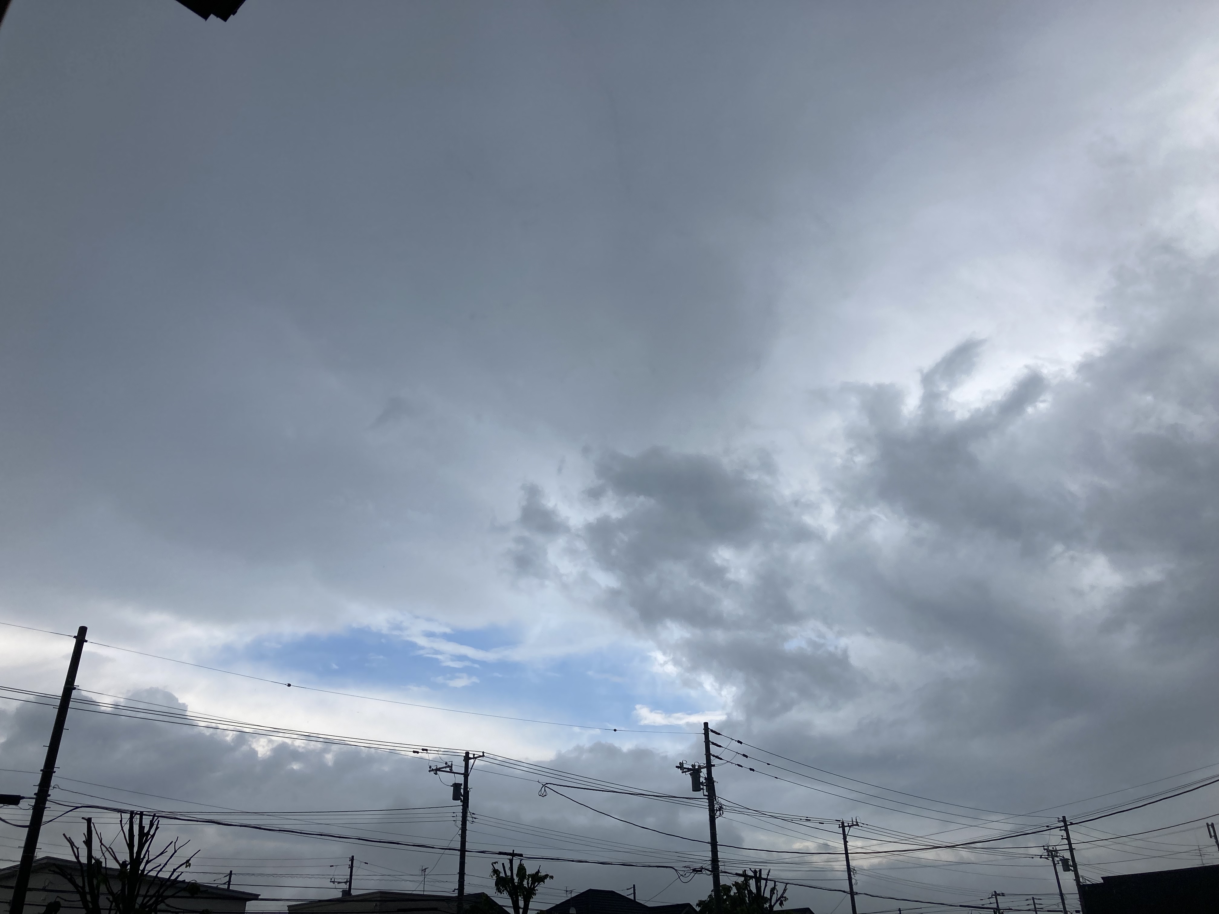 2021-06-15 16.02.16.jpg